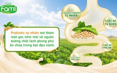 Prebiotic tự nhiên trong đậu nành – Giá trị tiềm năng đang được khám phá