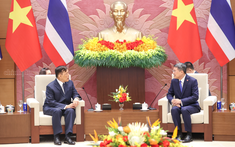 Thủ tướng Chính phủ Lê Minh Hưng hội kiến Nhà Vua Thái Lan