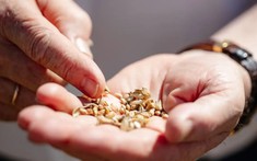 Nga vừa đón một kỷ lục "vô tiền khoáng hậu", đi thẳng vào Sách Kỷ lục Nga