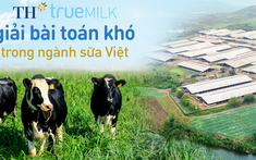 TH góp vai trò lớn giải bài toán khó của ngành sữa Việt: Tự chủ giống bò sữa và nguyên liệu