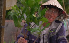 Nguyễn Ngọc Hiển và câu chuyện hiện thực hóa ước mơ lập nghiệp tại quê nhà