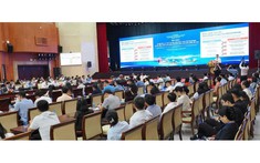 Liên kết đầu tư theo chuỗi giá trị, mở không gian tăng trưởng vùng