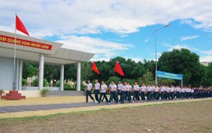 Sư đoàn 377 hưởng ứng chương trình “Cùng Việt Nam tiến bước”