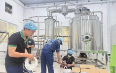 Tối ưu quá trình sản xuất với máy cô đặc chân không nhiệt độ thấp cỡ nhỏ 50 lít