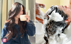 Vì sao tiệm làm tóc luôn gội đầu 2 lần?