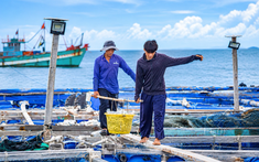 Lao động ngắn hạn có thêm cơ hội tham gia bảo hiểm thất nghiệp