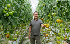 Những mô hình nông nghiệp tiền tỷ được gây dựng từ chính lợi thế quê hương