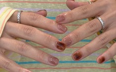 Móng gel trong kiểu Hàn: Xu hướng nail thu đông 2026 đẹp lâu, không sợ lộ móng mọc