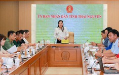 Tăng tốc chuẩn bị Festival Trà Quốc tế năm 2026