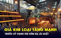 Giá kim loại, hàng hóa nguyên liệu đồng loạt tăng mạnh trước kỳ vọng Fed sớm hạ lãi suất