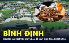 2 nhà máy sản xuất viên nén và dăm gỗ vừa đi vào hoạt động tại Bình Định có quy mô ra sao?