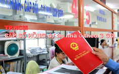 TP.HCM: Cấp sổ hồng cho người mua nhà dự án theo 3 giai đoạn