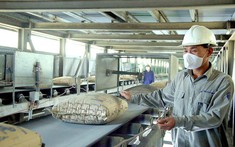 Doanh thu ngành vật liệu xây dựng ước đạt 47 tỷ USD, chiếm khoảng 11% GDP quốc gia