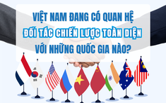 Việt Nam đang có quan hệ Đối tác Chiến lược Toàn diện với những quốc gia nào?