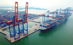 Tập đoàn logistics và vận tải biển hàng đầu thế giới muốn đầu tư cảng biển thông minh tại Việt Nam