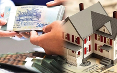 Chính sách bất động sản nổi bật có hiệu lực từ tháng 12/2024