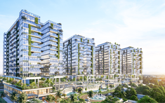 Sunshine Homes chi 1.000 tỷ mua công ty sở hữu chung cư cao cấp Sunshine Green Iconic Long Biên
