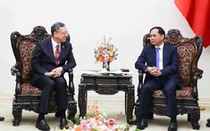 Tập đoàn điện lực hàng đầu Trung Quốc muốn xây kho năng lượng điện hoá tại Việt Nam