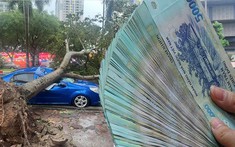 Các doanh nghiệp bảo hiểm đã tạm ứng 471 tỷ đồng bồi thường thiệt hại sau bão Yagi