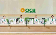 CEO Phạm Hồng Hải đăng ký mua 300.000 cổ phiếu OCB