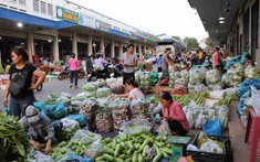 T&T có thể xây chợ đầu mối lớn nhất Hà Nội tại Gia Lâm