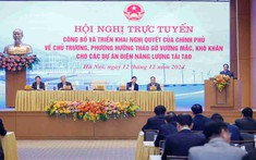 Thủ tướng chủ trì hội nghị trực tuyến gỡ vướng cho các dự án năng lượng tái tạo