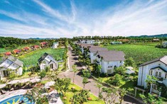 Thăng Long Invest Group thoái vốn loạt công ty liên kết