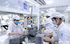 Phú Hưng Securities: Dòng vốn FDI sẽ mạnh mẽ hơn nữa trong năm 2025 và thậm chí xa hơn đến 2030