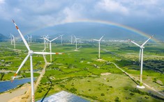 Đề xuất cơ chế mua bán điện tái tạo trực tiếp giữa doanh nghiệp với khách hàng sử dụng điện lớn