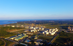 Ông Bùi Ngọc Dương được bổ nhiệm làm Chủ tịch Hội đồng quản trị BSR