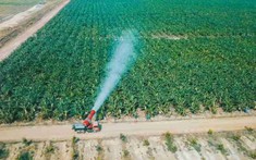HAGL Agrico sắp nhận 42.500 ha đất cao su, cọ dầu, hết nợ với Hoàng Anh Gia Lai