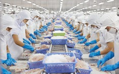 2.000 lao động tại Đồng Tháp đón nhận tin vui