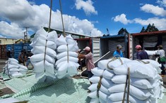 Năm 2024, thương mại Viêt Nam - Indonesia tăng trưởng nhanh, hướng đến mục tiêu 18 tỷ USD