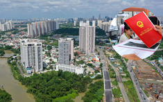 Hàng chục nghìn người dân tại TP.HCM đón tin vui trước Tết