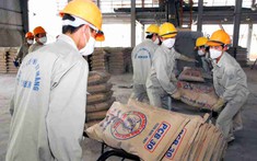 Thủ tướng chỉ đạo nóng về thông tin “các nhà máy xi măng thua lỗ, có nguy cơ dừng sản xuất”