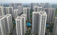 Chung cư Hà Nội tăng đến 50%, TP.HCM tăng đến 30% chỉ sau một năm