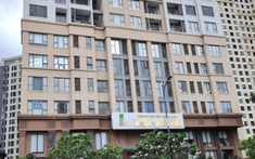 Hướng dẫn xác định giá đất các Dự án vi phạm tại Quận 4, TP. Thủ Đức