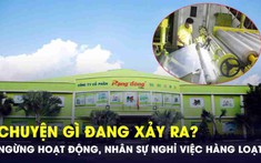 Công ty nhựa 65 năm tuổi ngừng hoạt động, nhân sự nghỉ việc hàng loạt