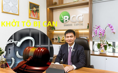 Vì sao cựu Chủ tịch Bamboo Capital Nguyễn Hồ Nam bị khởi tố?
