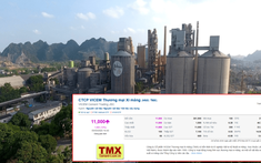 Sếp công ty xi măng bị tạm đình chỉ để điều tra, cổ phiếu vẫn tăng hết biên độ
