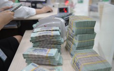 Tháng 2/2025: Hoàn toàn vắng bóng trái phiếu doanh nghiệp
