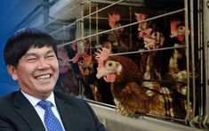 Bất ngờ: “Vua thép” lập kỷ lục bán… GÀ GIỐNG, vừa xuất lô hàng lớn vào Bình Thuận