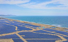 Hai lãnh đạo BCG Energy rời ghế