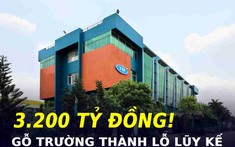 Đóng cửa chi nhánh, giải thể nhà máy cùng khoản lỗ lũy kế hơn 3.200 tỷ: Gỗ Trường Thành đang kinh doanh ra sao?