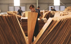 Trong 2 tháng, Mỹ chi hơn 1,3 tỷ USD để gom một mặt hàng của Việt Nam phục vụ nhu cầu trong nước