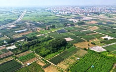 Hưng Yên mở bán gần 150 lô đất ở vị trí đẹp, giá từ 13,5 triệu/m²