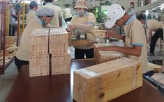 Mỹ chi hơn 2 tỷ USD để “chốt đơn” một mặt hàng của Việt Nam trong 3 tháng