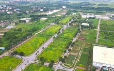 Tỉnh cạnh Hà Nội sắp đấu giá 133 lô đất, giá khởi điểm từ 13 triệu đồng/m2