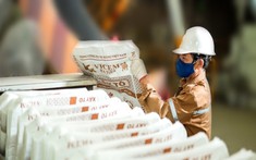 Lãnh đạo Vicem Hà Tiên nói về ảnh hưởng chính sách thuế quan của Mỹ