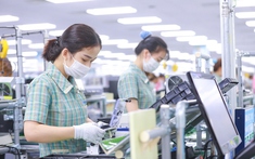 Tính đến 15/4/2025, doanh nghiệp FDI chiếm 66,8% kim ngạch xuất nhập khẩu cả nước